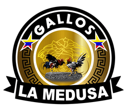 Gallos La Medusa