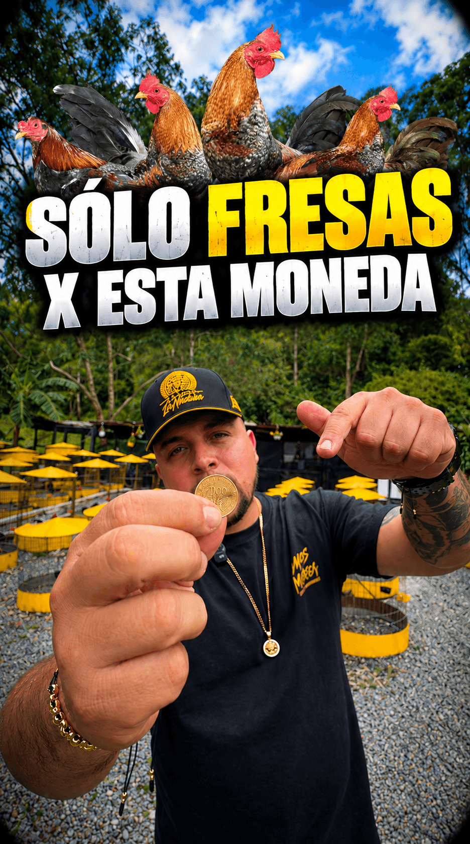 ❌ 100 PESOS SOLO FRESAS 🍓⚔️🔥